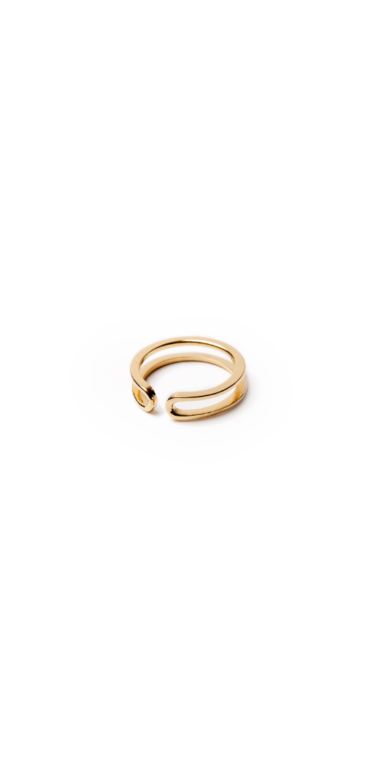 Anillo Curvas