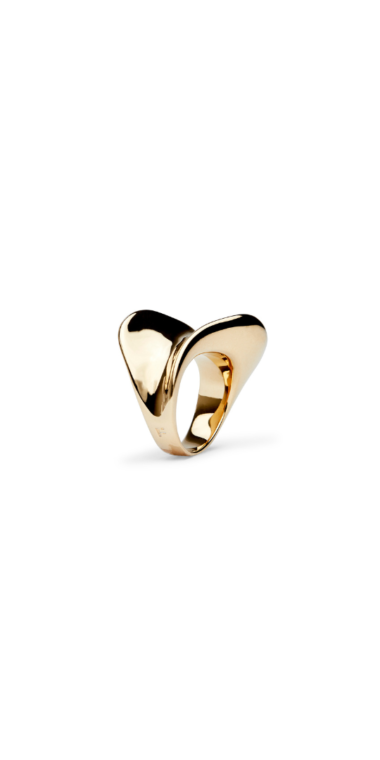 Anillo Olas