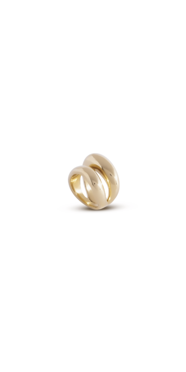 Anillo Doble