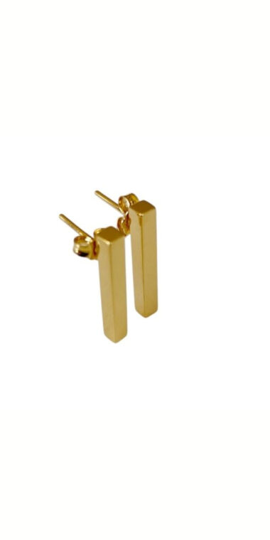 Aretes Barra CH