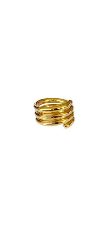Anillo Resorte Doble