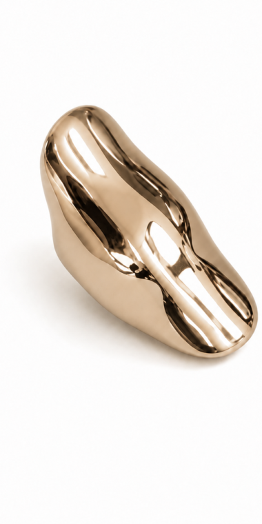Anillo Armadura (copia) (copia)